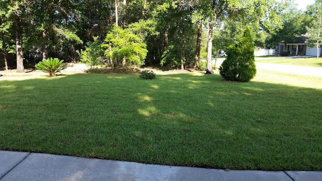 HIDDEN SPRINGS - Residential