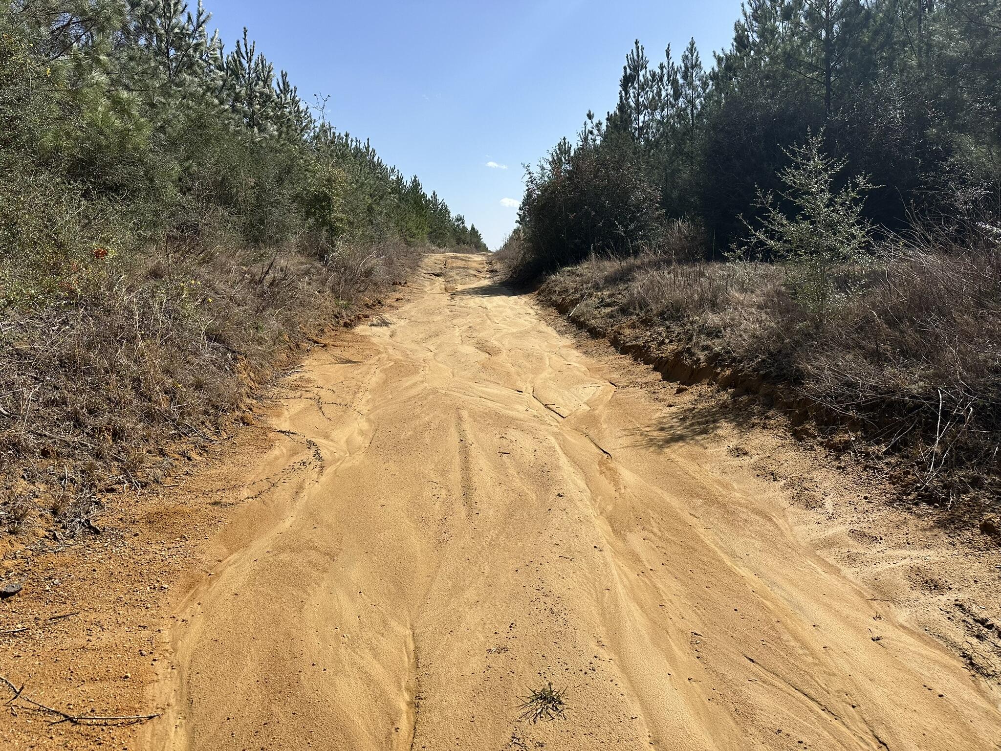 Tract#6416 S Douglas Ferry Road