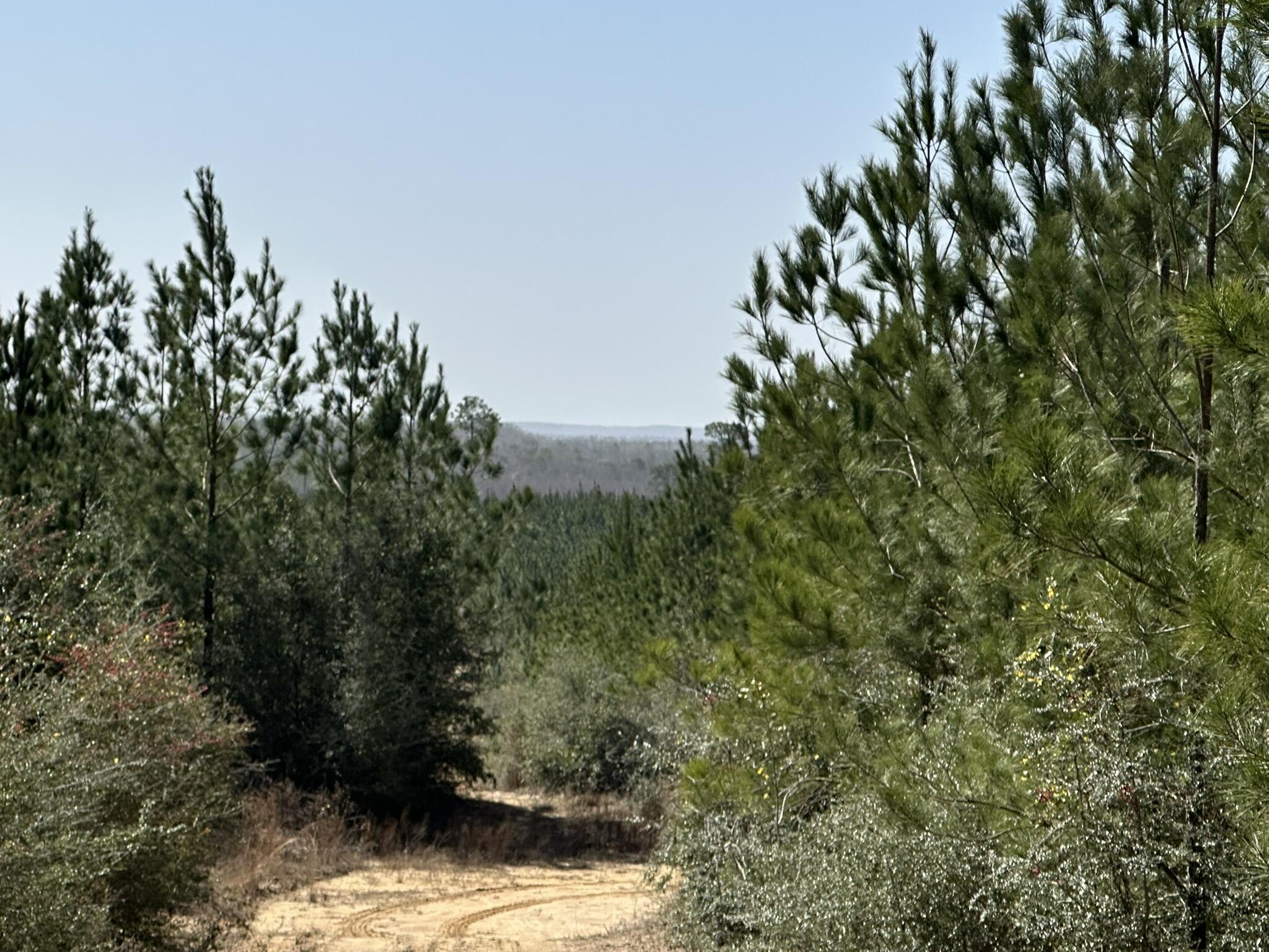 Tract#6416 S Douglas Ferry Road
