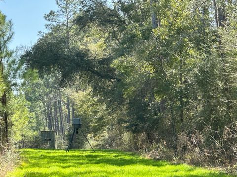 Photo of Tract#6416 S Douglas Ferry Road, Caryville, FL 32427 (MLS # 983609)