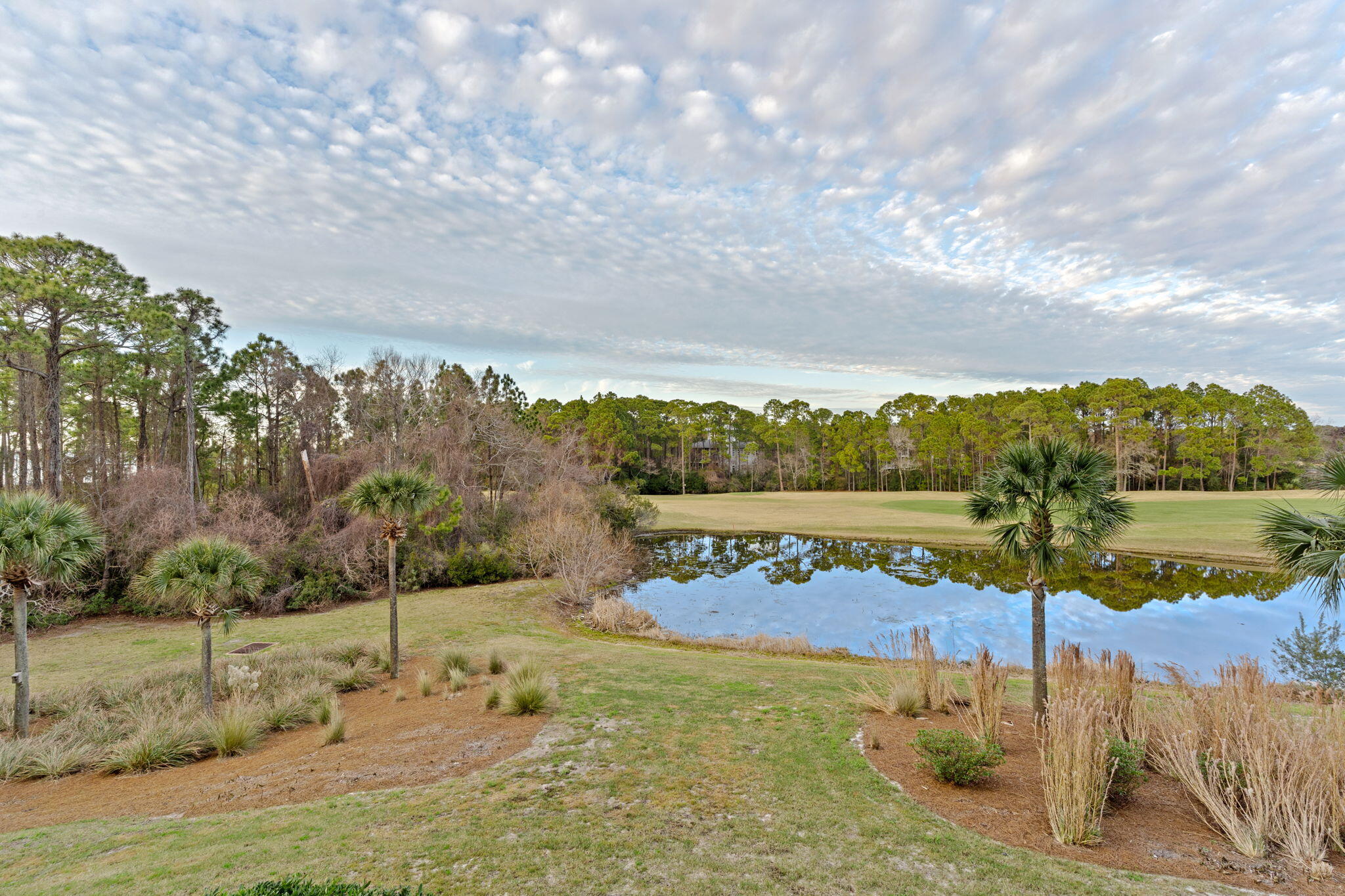 ELATION - Residential