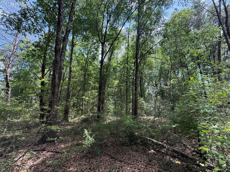 It's flat, it's dry, right off of Hwy 90, and it's nearly 5 acres!The possibilities are endless with this one so bring some house plans and get started making memories. Call today to set up a showing!