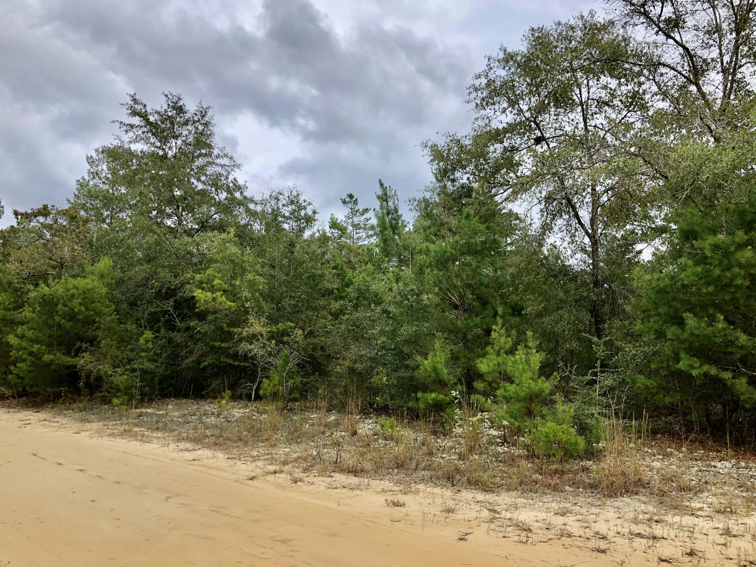 1 acre wooded lot North of Defuniak springs. Perfect spot for building your new home or new manufactured home. New parcel ID will need to be established. Lot has been surveyed. Lot sold as is. Buyer to perform all due-diligence.