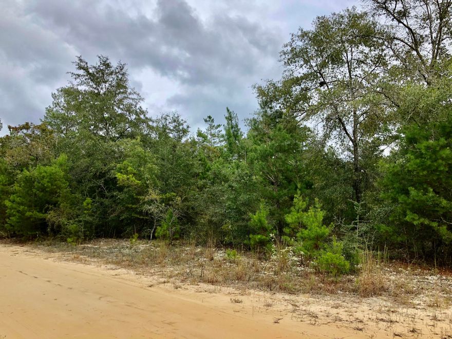 1 acre wooded lot North of Defuniak springs. Perfect spot for building your new home or new manufactured home. New parcel ID will need to be established. Lot has been surveyed. Lot sold as is. Buyer to perform all due-diligence.