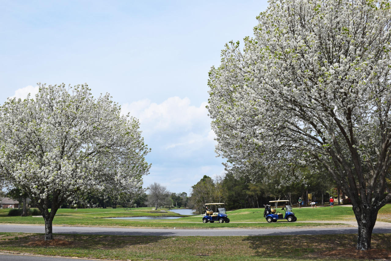 WINDWARD PH 3 - Residential