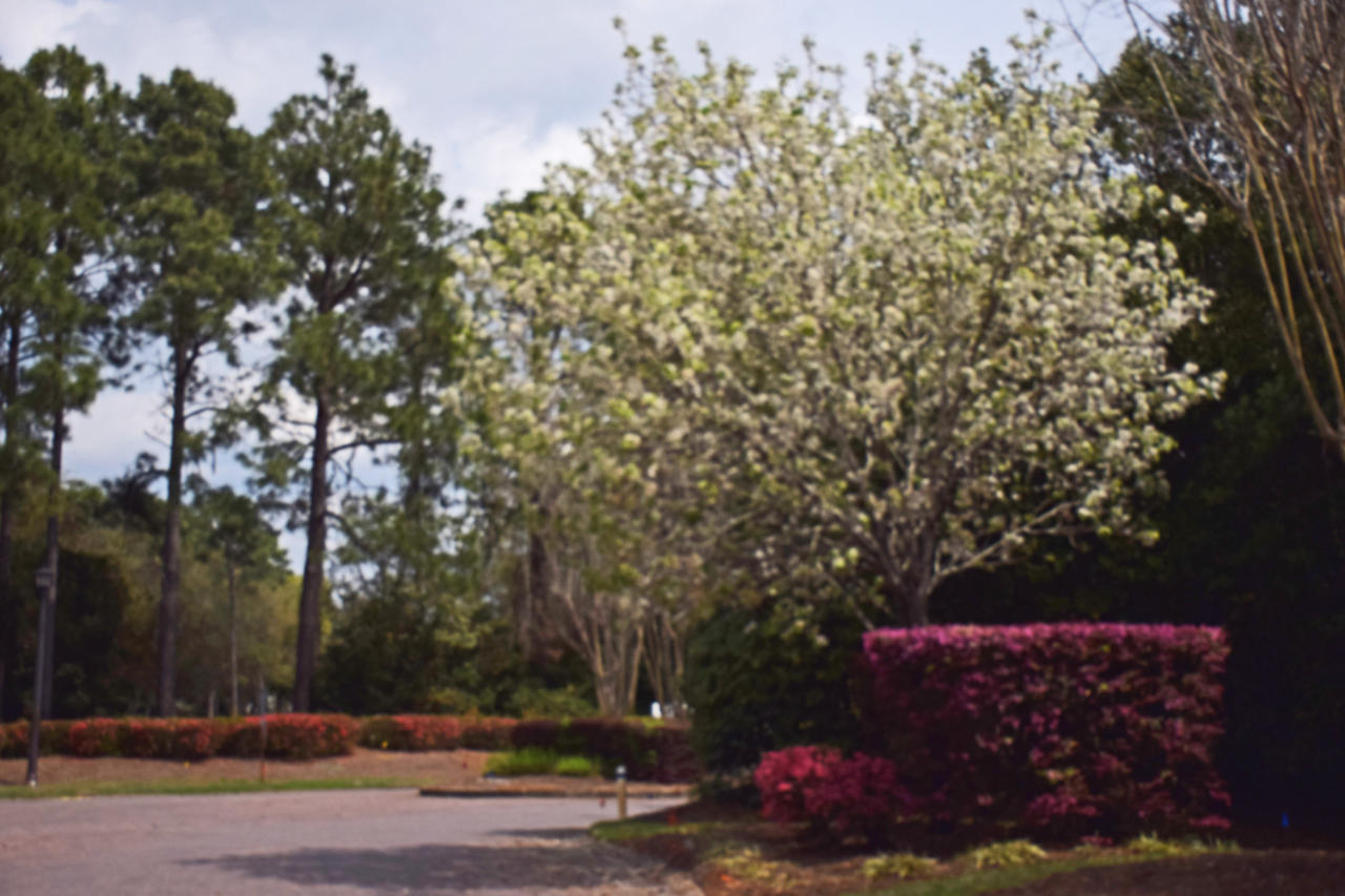 WINDWARD PH 3 - Residential