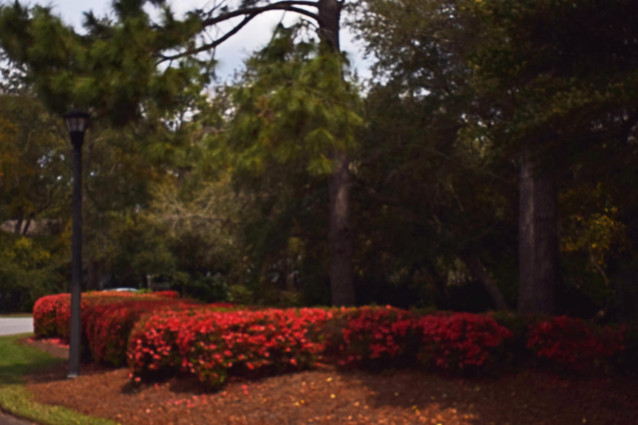 WINDWARD PH 3 - Residential