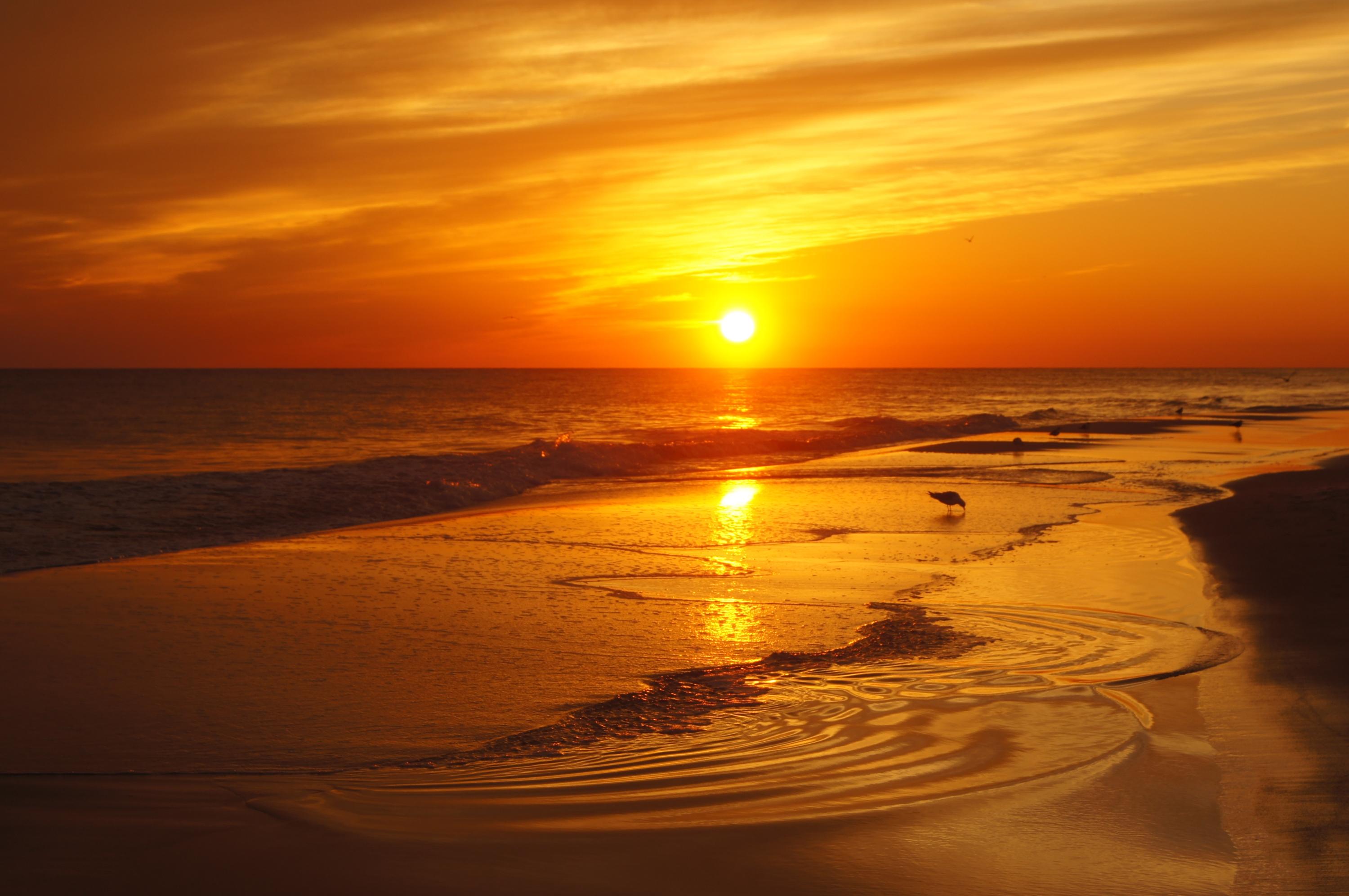 MAJESTIC SUN - Residential