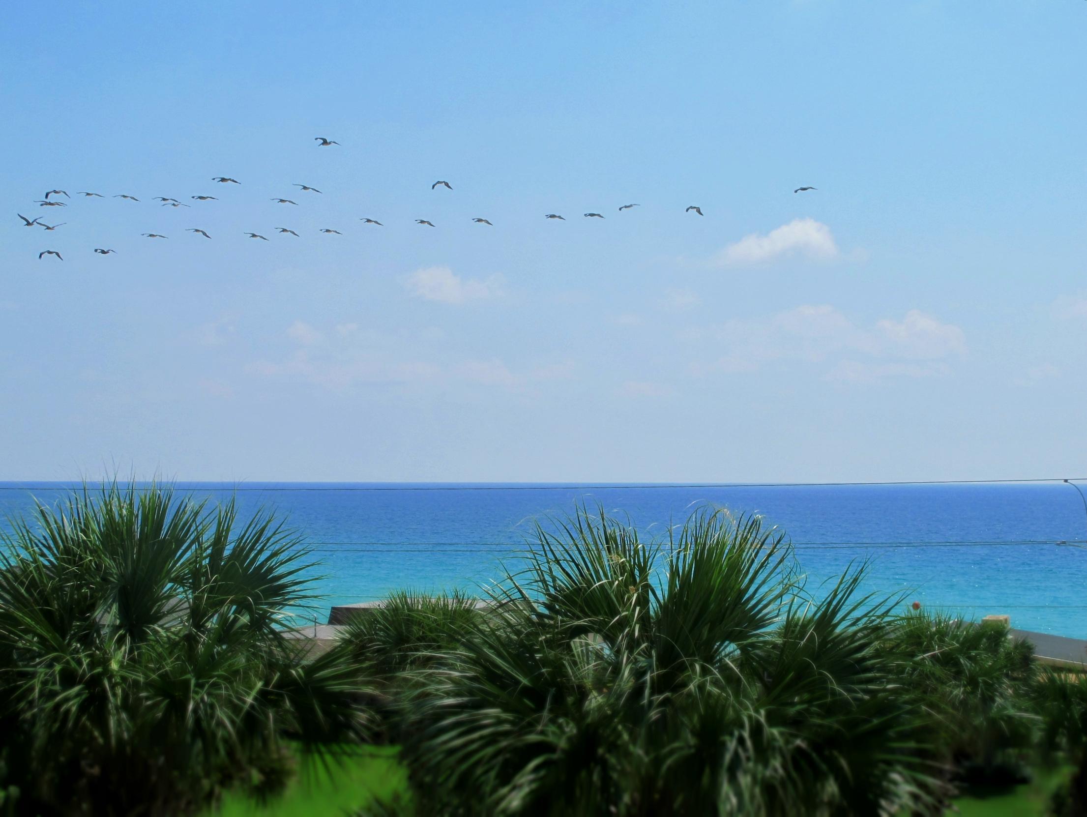 GULF PLACE CABANAS CONDO - Residential