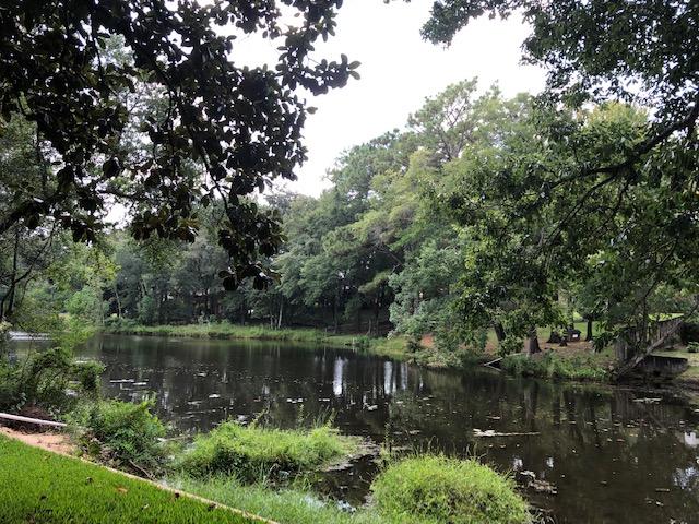 PINE LAKE S/D - Residential