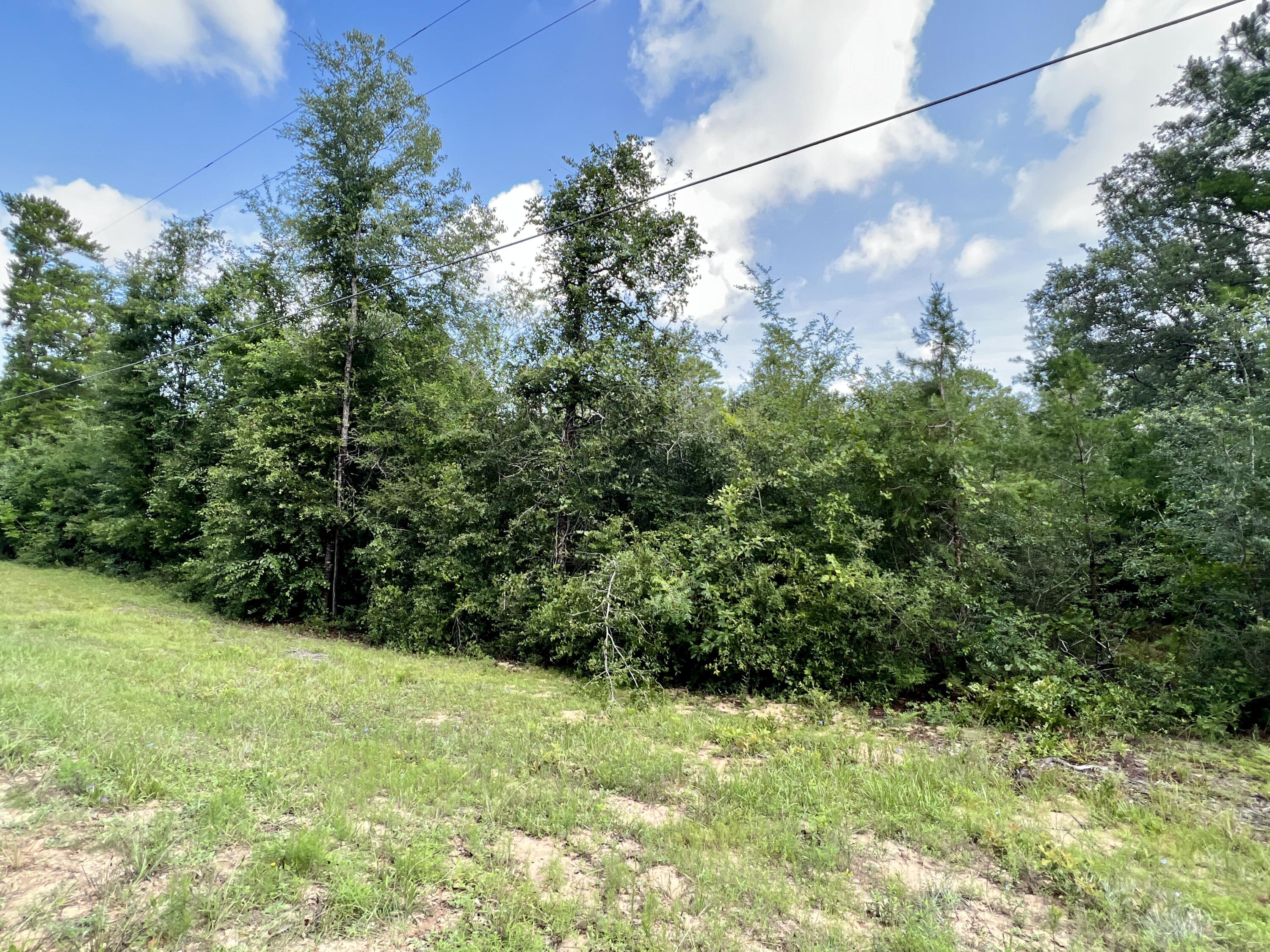 LAKE JUNIPER ESTATES UNIT 3 - Land