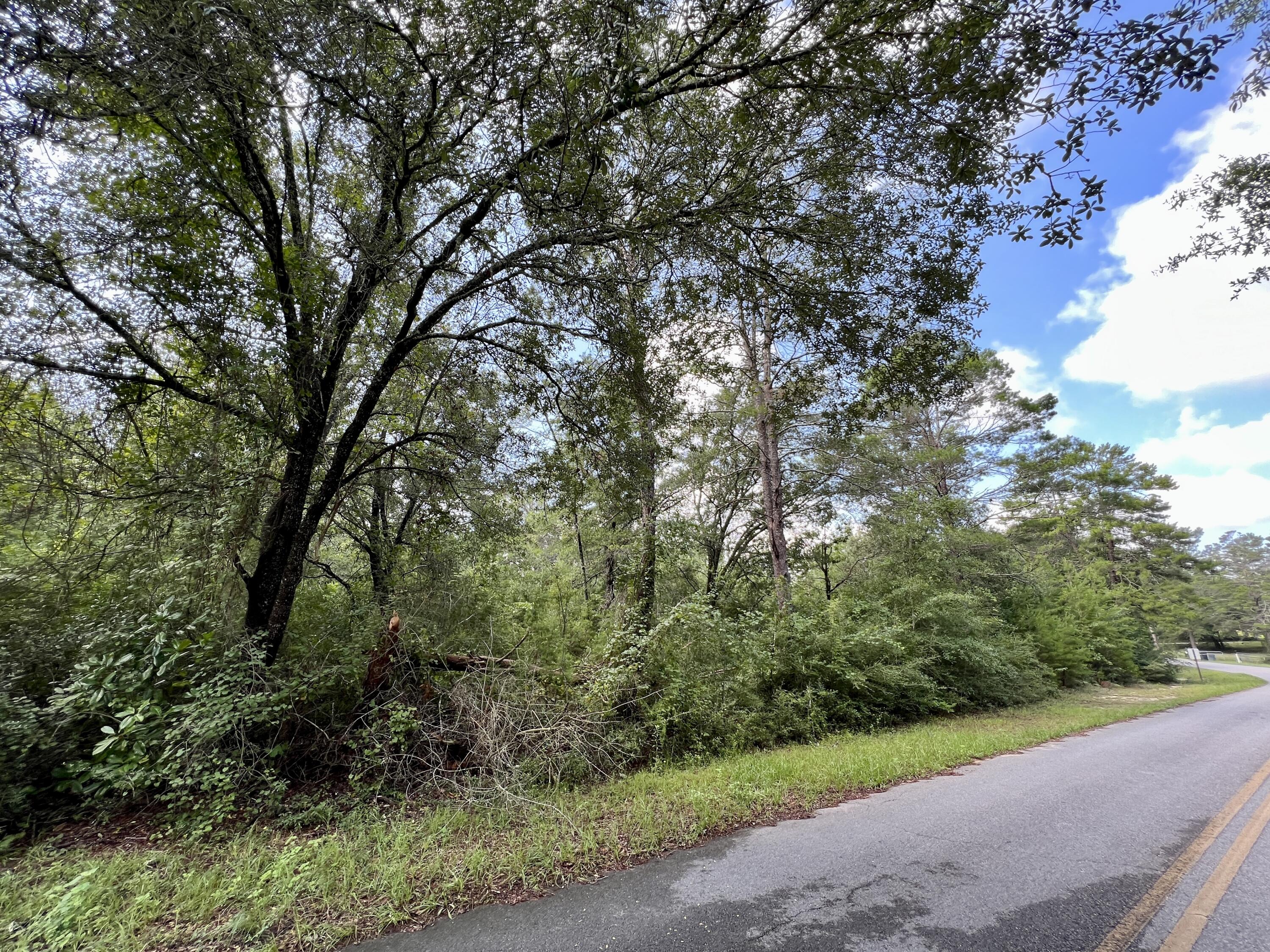 LAKE JUNIPER ESTATES UNIT 3 - Land