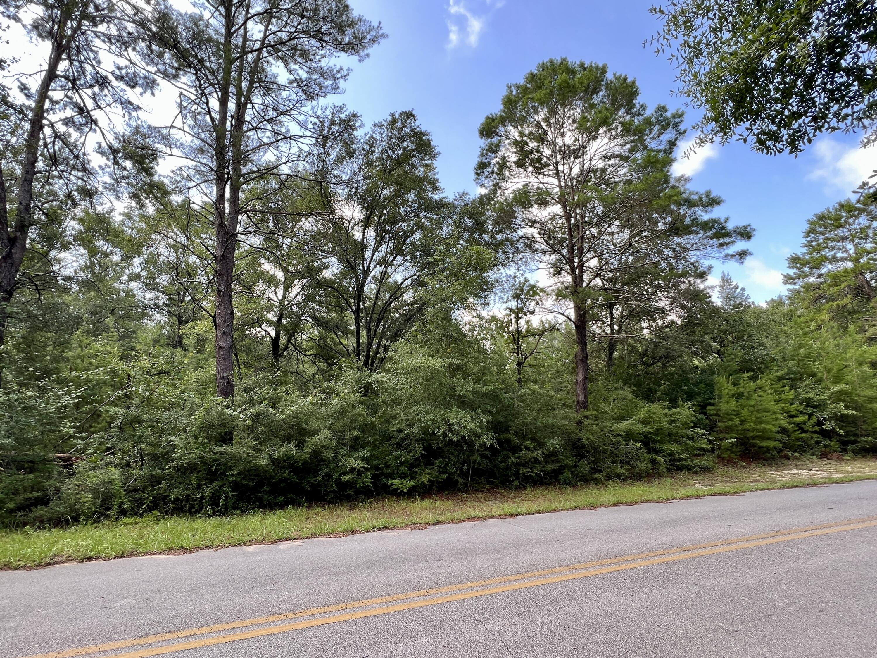 Lake Juniper Water View Corner Lot! Just outside the city limits of DeFuniak Springs on a paved road, with nicely kept properties around. This lot would make a really nice homesite. Some large, mature oaks and magnolias are scattered throughout and has access from both Bob McCaskill and Marion Dr.