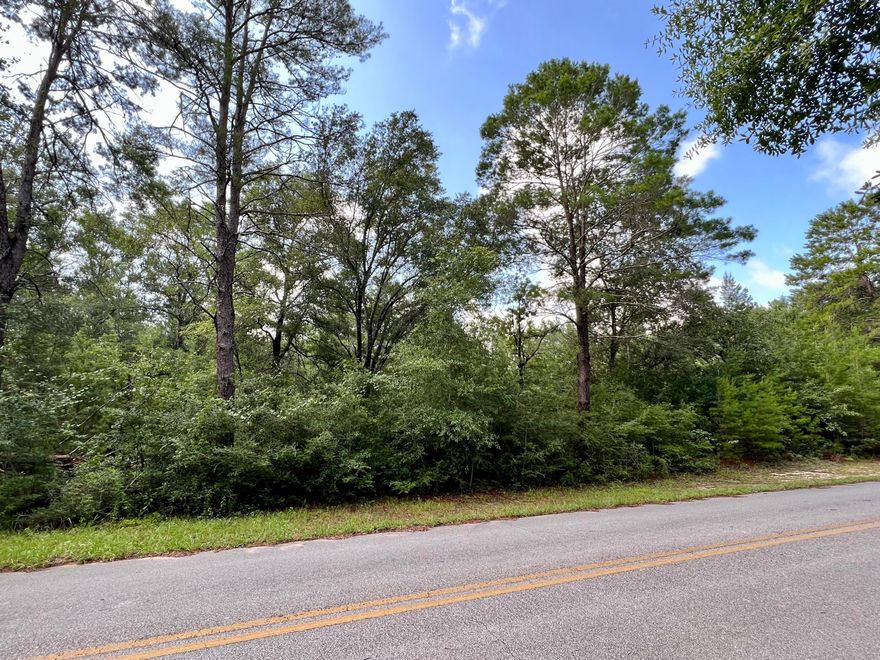 Lake Juniper Water View Corner Lot! Just outside the city limits of DeFuniak Springs on a paved road, with nicely kept properties around.  This lot would make a really nice homesite. Some large, mature oaks and magnolias are scattered throughout and has access from both Bob McCaskill and Marion Dr.