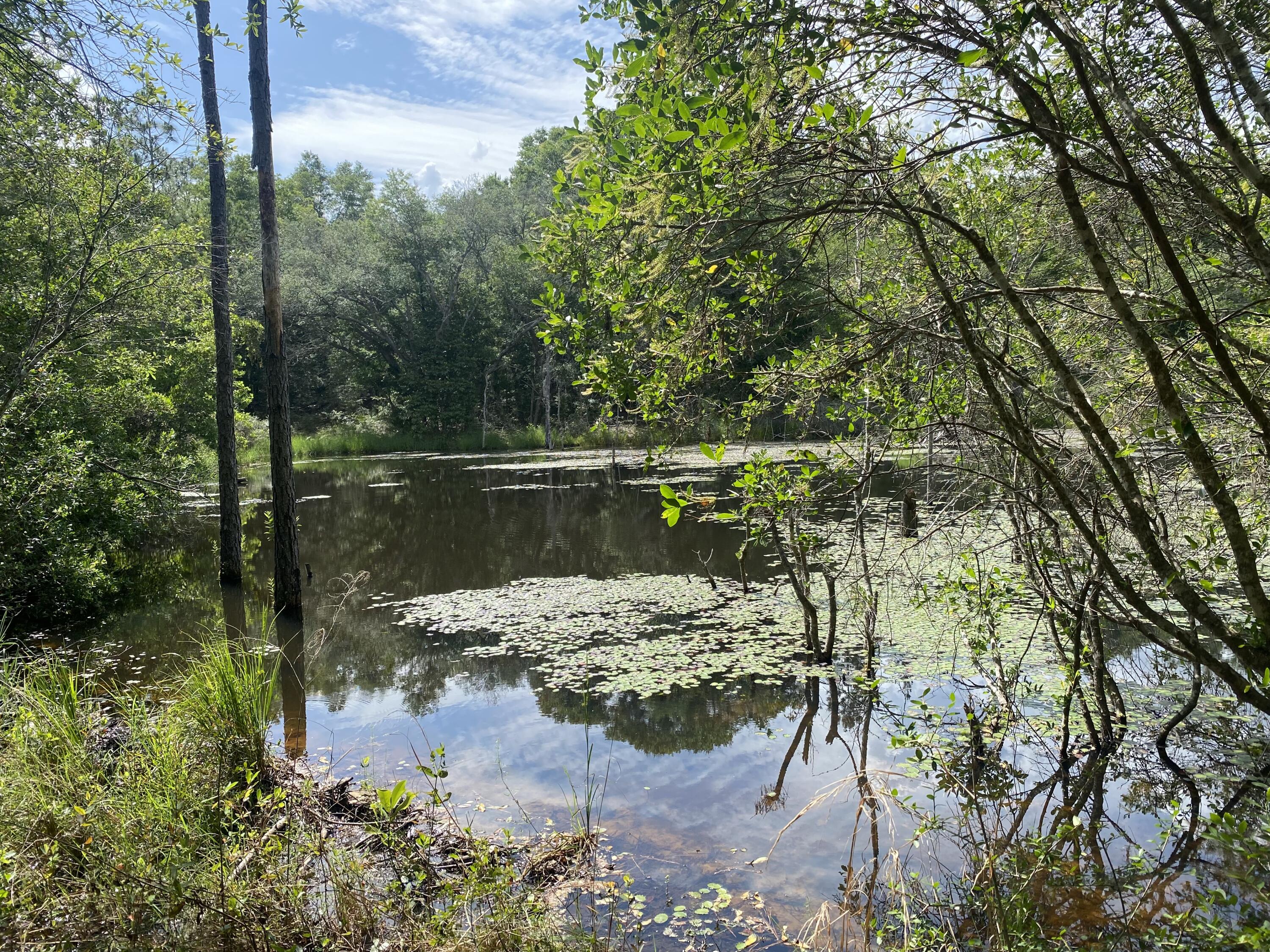 Large wooded parcel, approximately 20 acres. A hunter's paradise, very secluded, ideal for building a secluded retreat or dream home, offering ample privacy. A large path has been cut to the pond and there's a nice creek flowing through the property, but buyer must verify. Additional acreage is available, totaling approximately 69 acres. Please inquire for pricing. Survey available for this parcel.