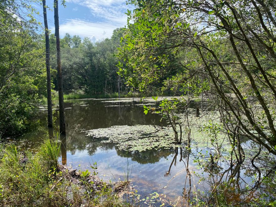 Large wooded parcel, approximately 20 acres. A hunter's paradise, very secluded, ideal for building a secluded retreat or dream home, offering ample privacy. A large path has been cut to the pond and there's a nice creek flowing through the property, but buyer must verify. Additional acreage is available, totaling approximately 69 acres. Please inquire for pricing. Survey available for this parcel.