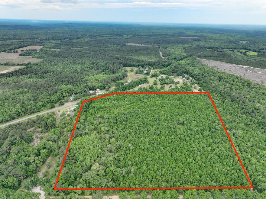 Absolutely beautiful 40 Acre tract in North Walton County! This parcel has many trails cut though it and is situated between Co Hwy 181-C and fronts Cedar Ln to the North. This parcel has electric available. You would need a well for water and septic for sewage. This property is wooded but has many sites available for a home. Property is zoned Large Scale Agriculture in Walton County. Don't miss out on this one! Call to schedule your tour today!