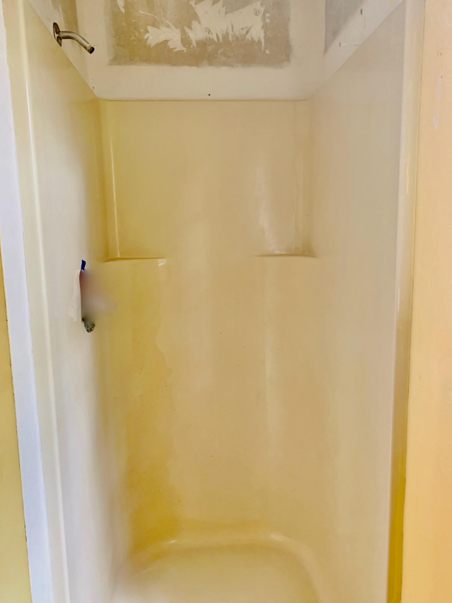 SUMMER TREE - Residential