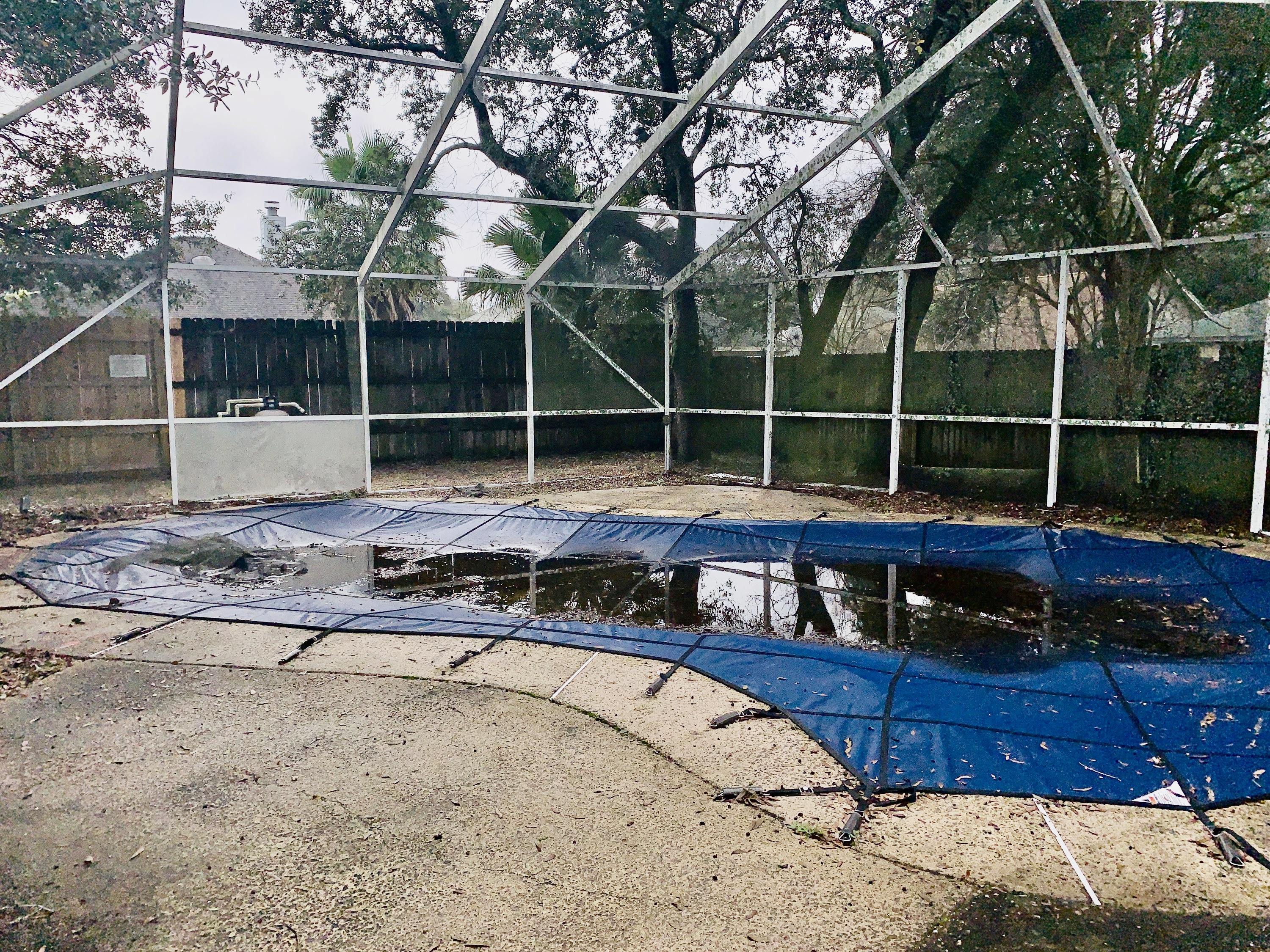 SUMMER TREE - Residential