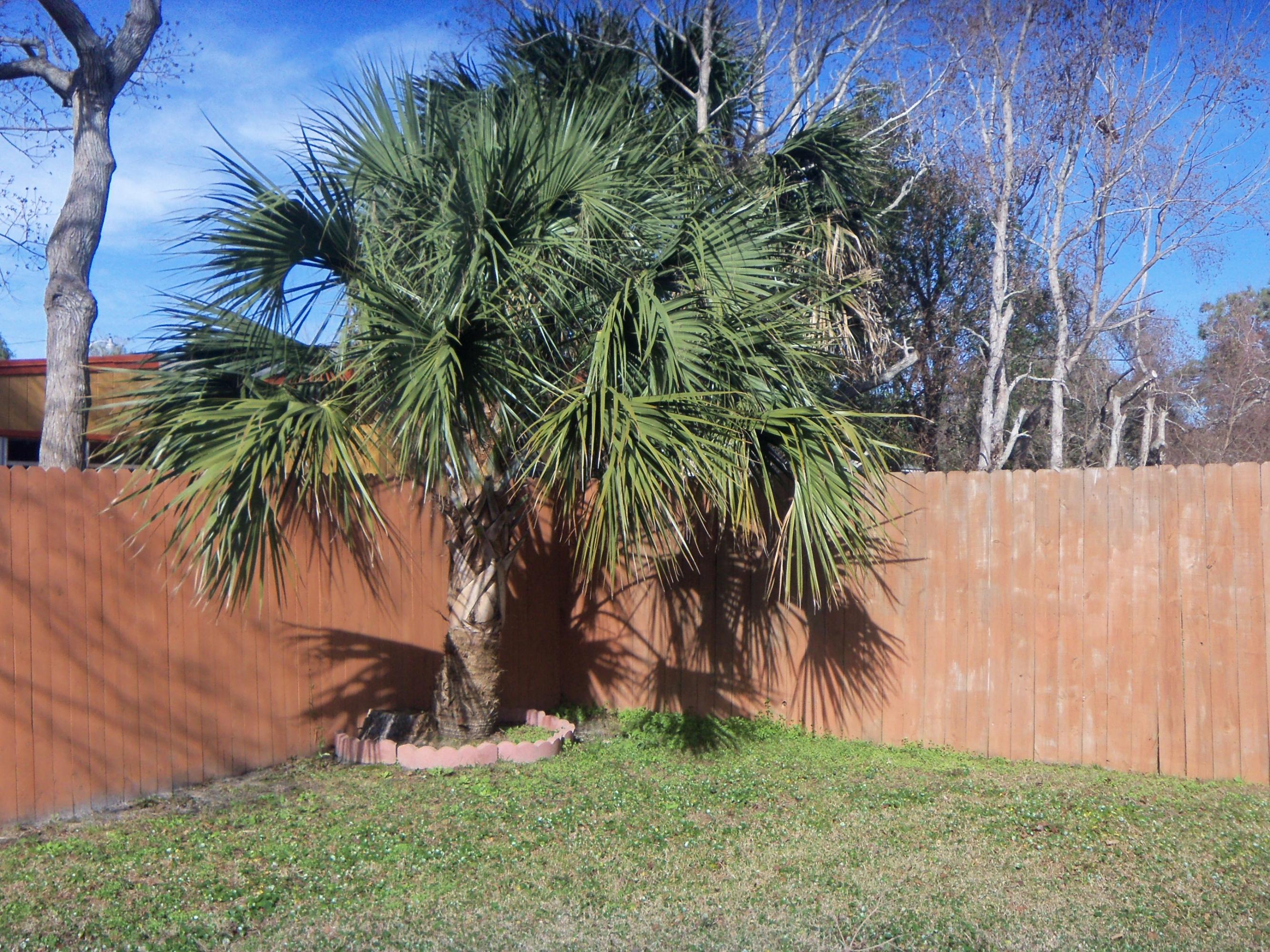 Known as Lot 10 of an unrecorded Plat in the Briggs-Haigler S/D - Residential