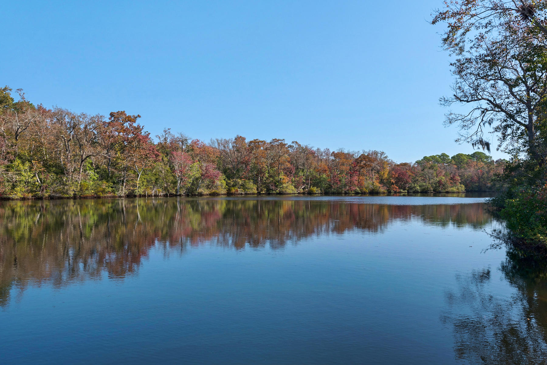The Landings - Residential