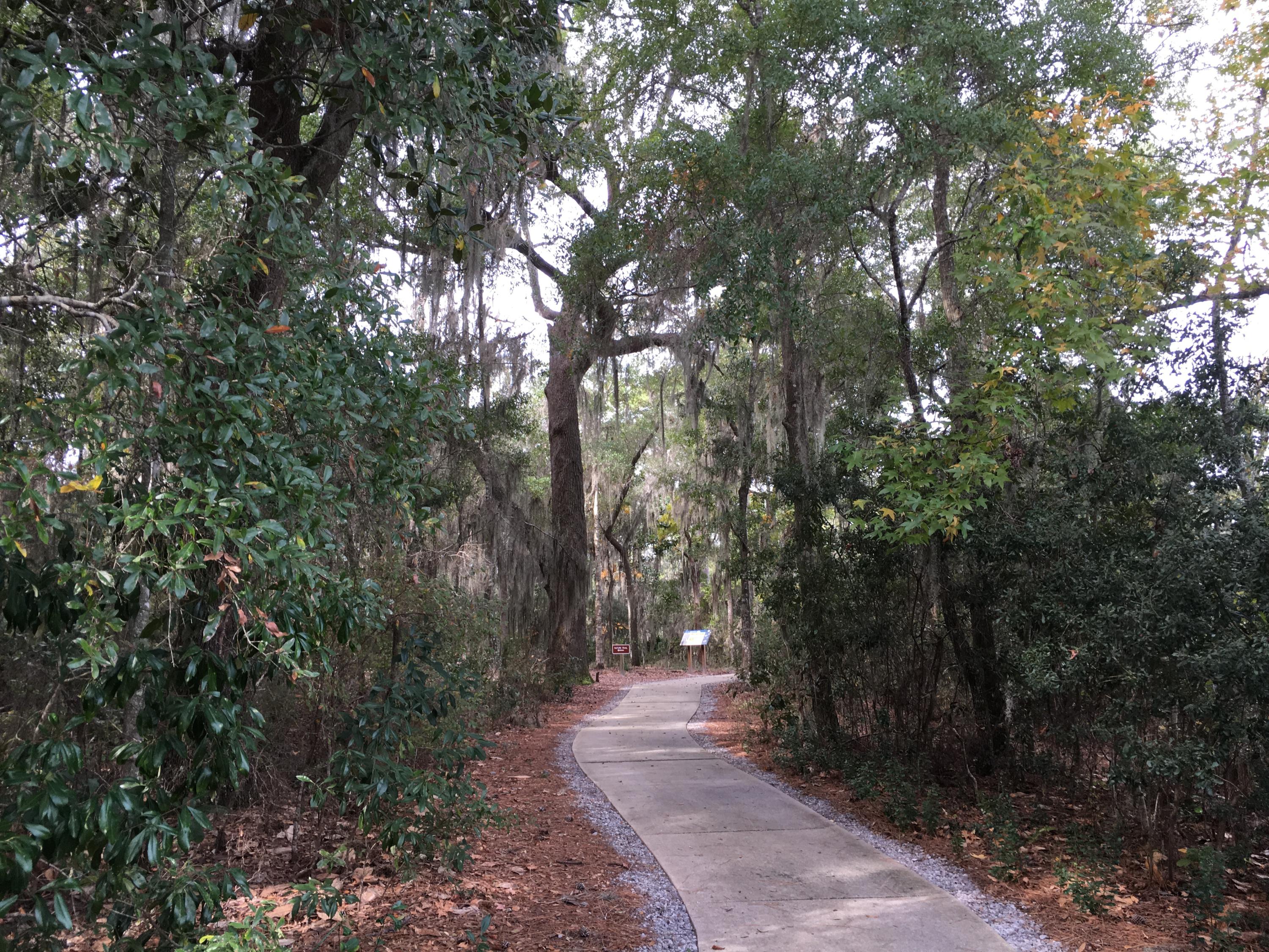 AUDUBON POINT - Residential