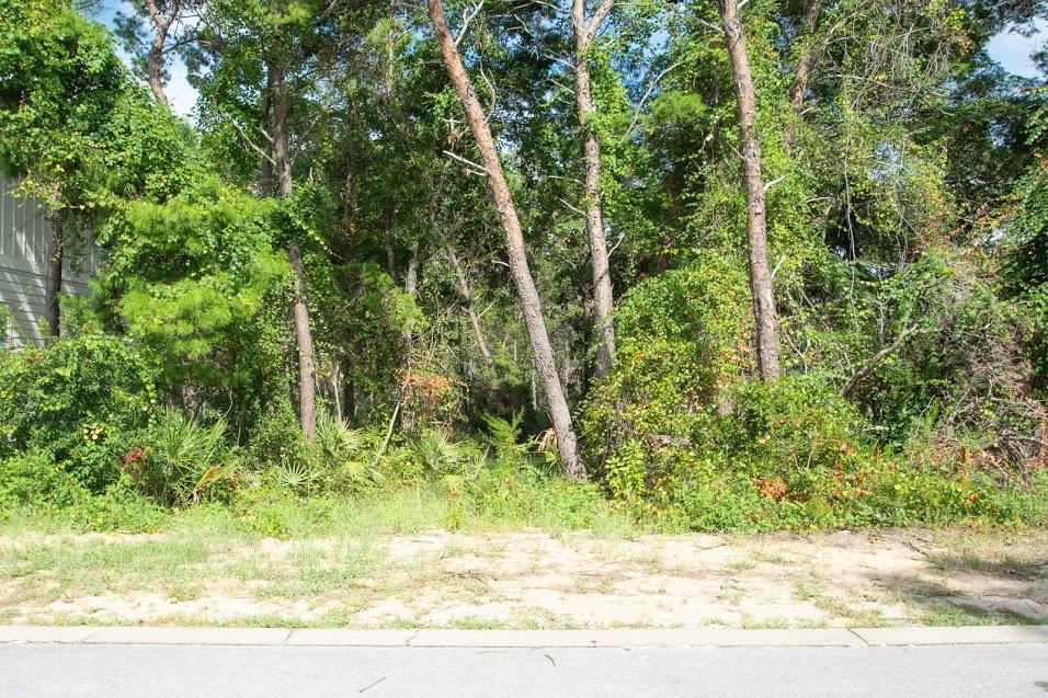 GRANDE POINTE AT INLET BEACH - Land