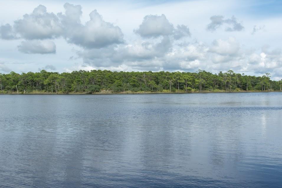 GRANDE POINTE AT INLET BEACH - Land