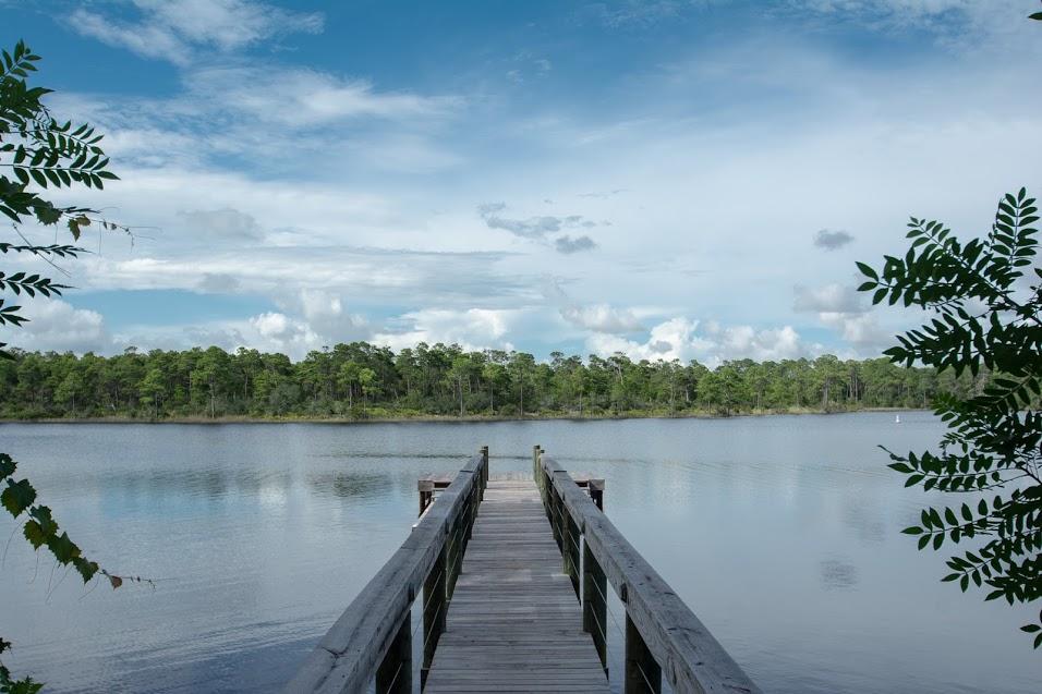 GRANDE POINTE AT INLET BEACH - Land