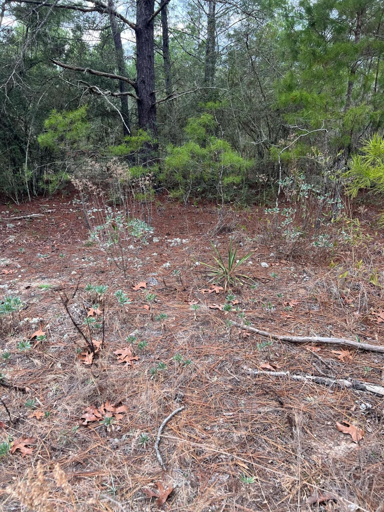 OAKWOOD HILLS - Land