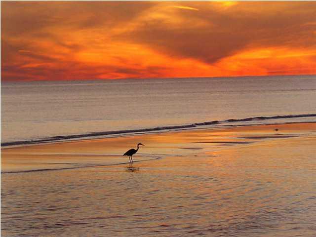 Waters Edge Condo - Residential