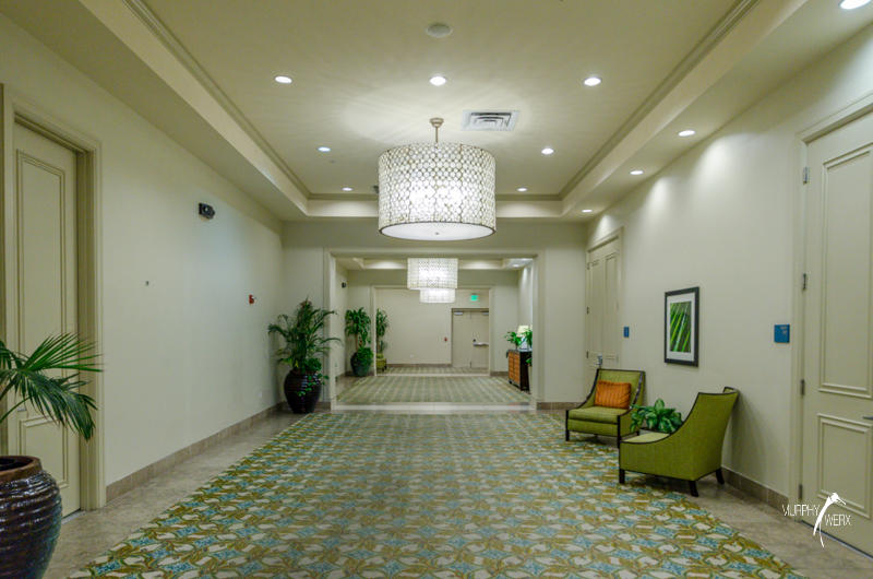 THE PALMS OF DESTIN - Residential