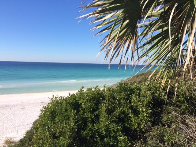 GROVE BY THE SEA 2ND ADDN - Residential