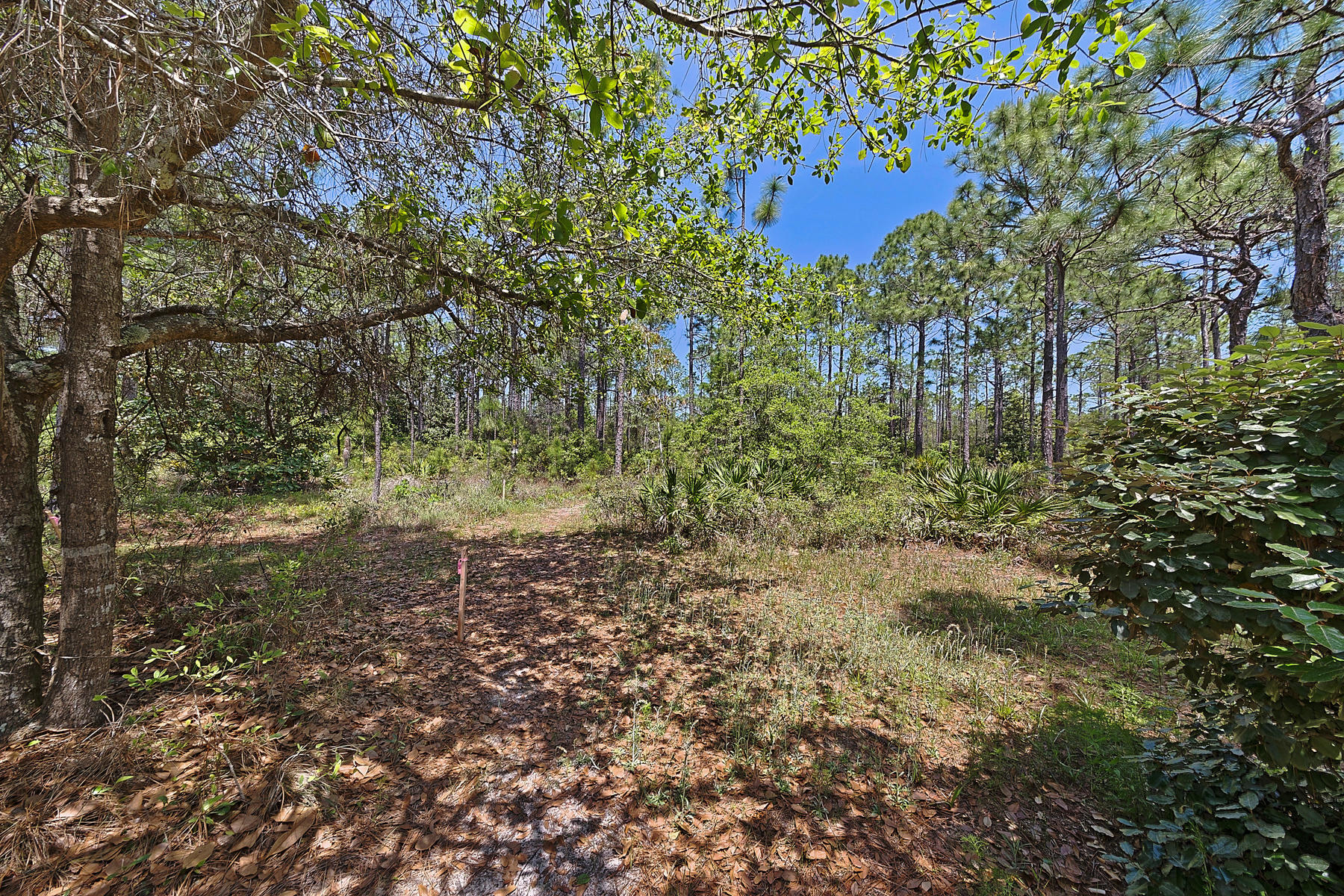 GROVE BY THE SEA 2ND ADDN - Residential