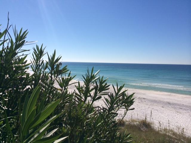 GROVE BY THE SEA 2ND ADDN - Residential