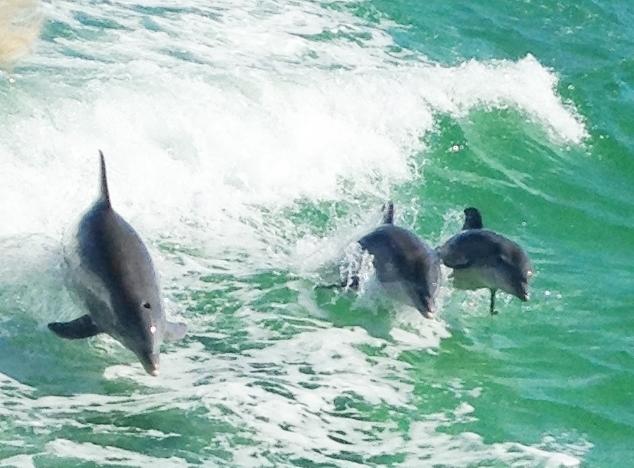 HOLLEY BY THE SEA - Residential Lease