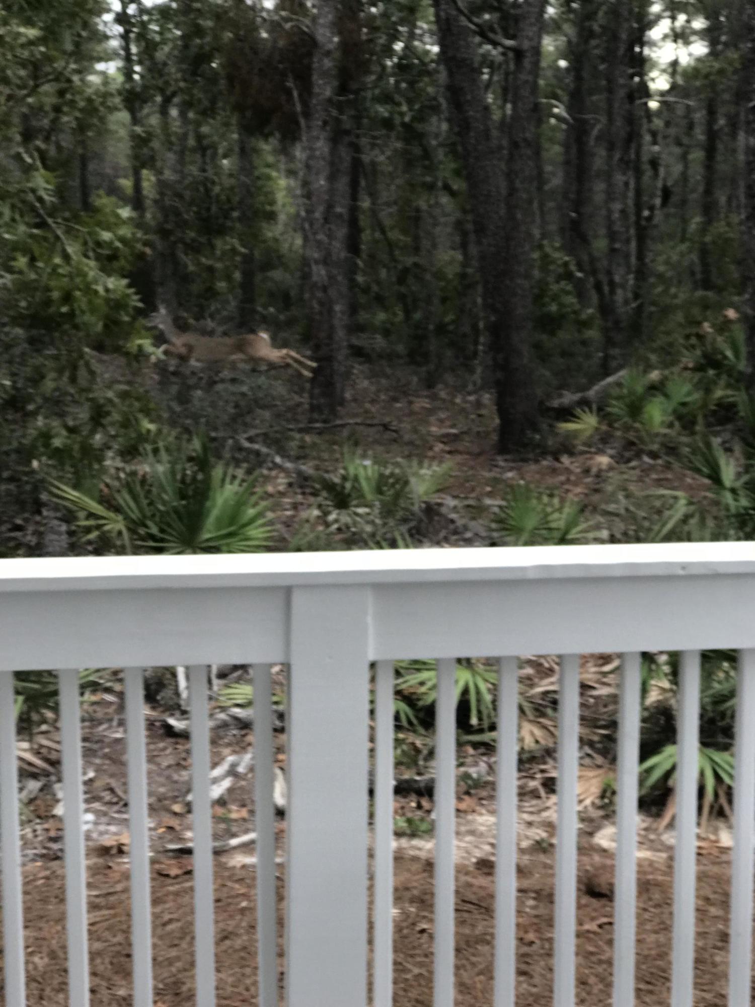 Prominence - Residential