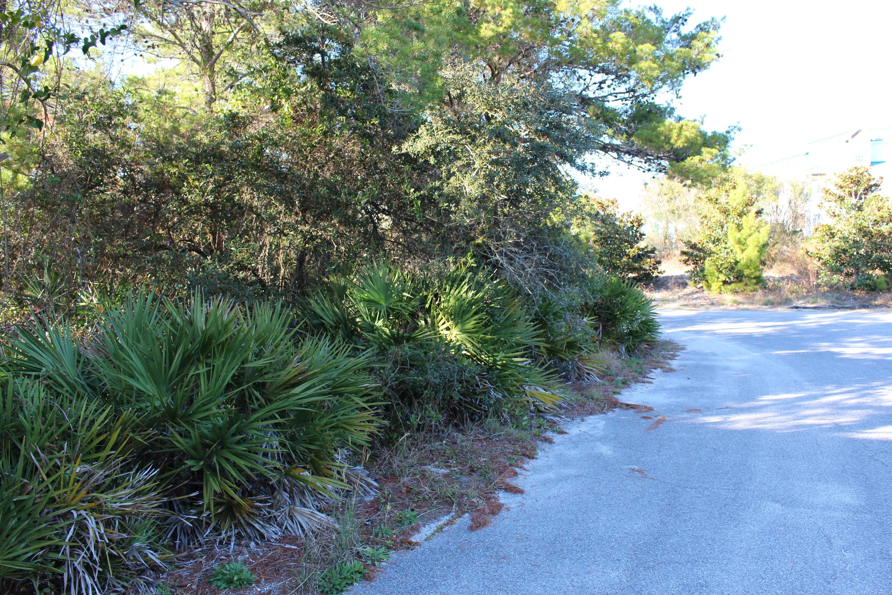 BLUE GULF RESORT - Land