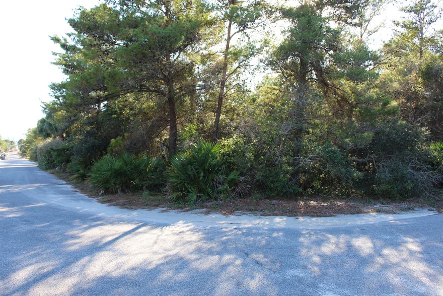 Great vacant lot just off of Hwy 30-A, close to beach access, stores, entertainment, restaurants, and more. Come get it while you still can!