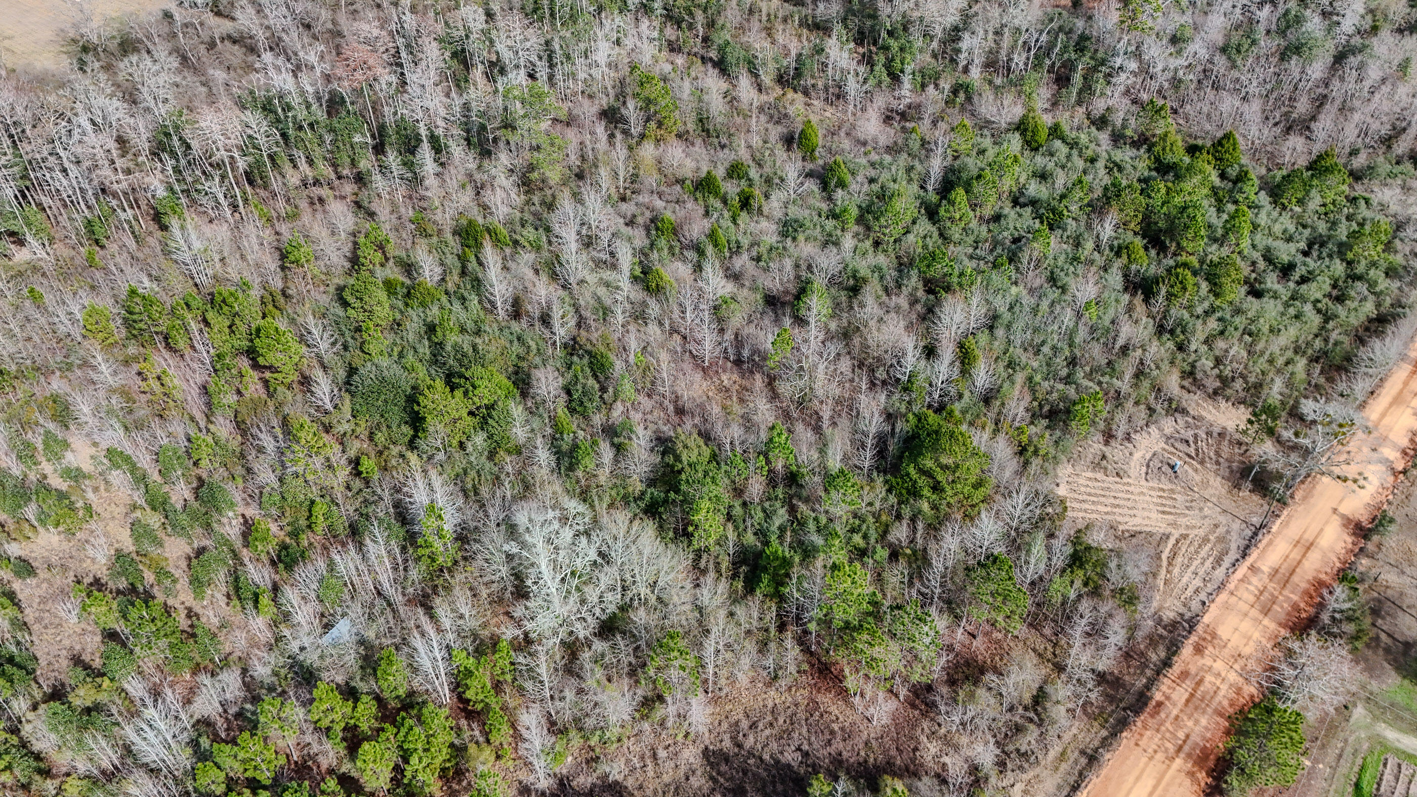 METES & BOUNDS - Farm