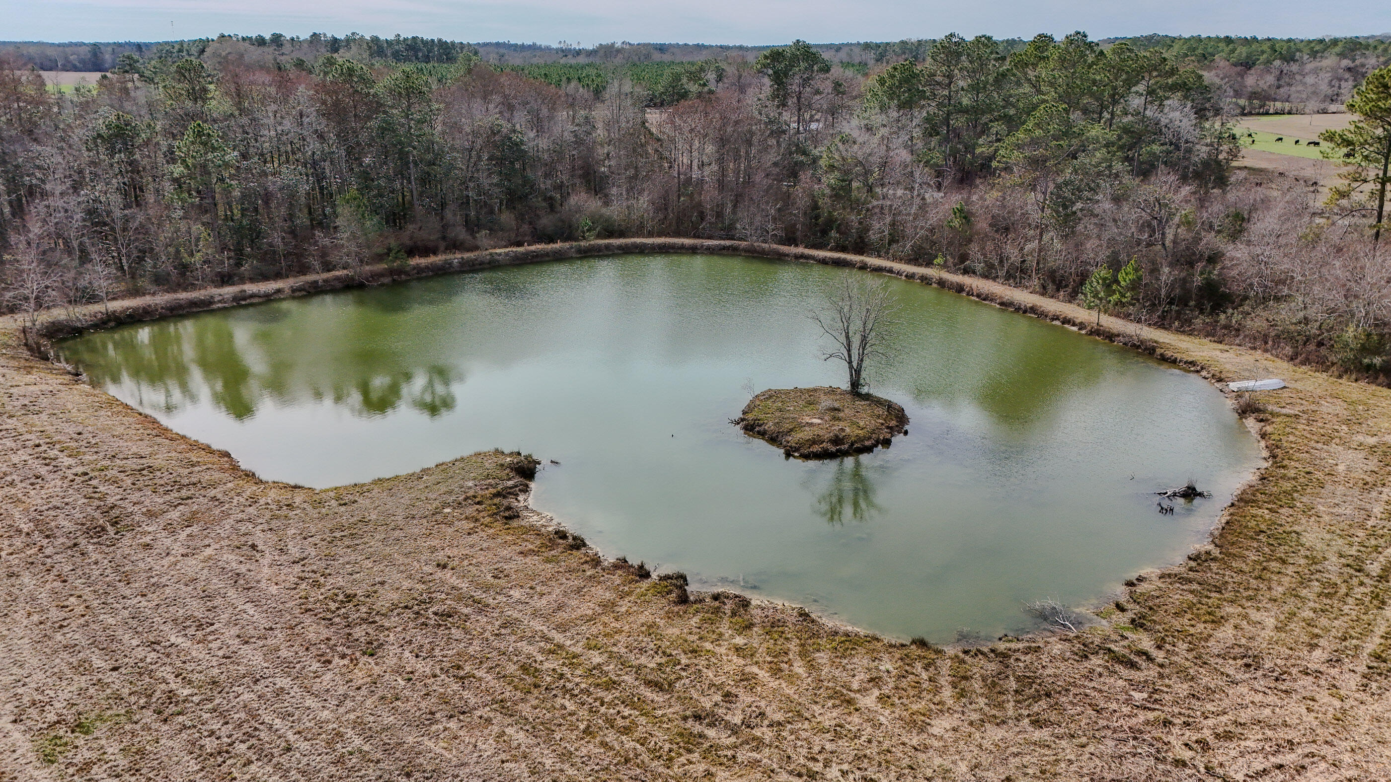 METES & BOUNDS - Farm