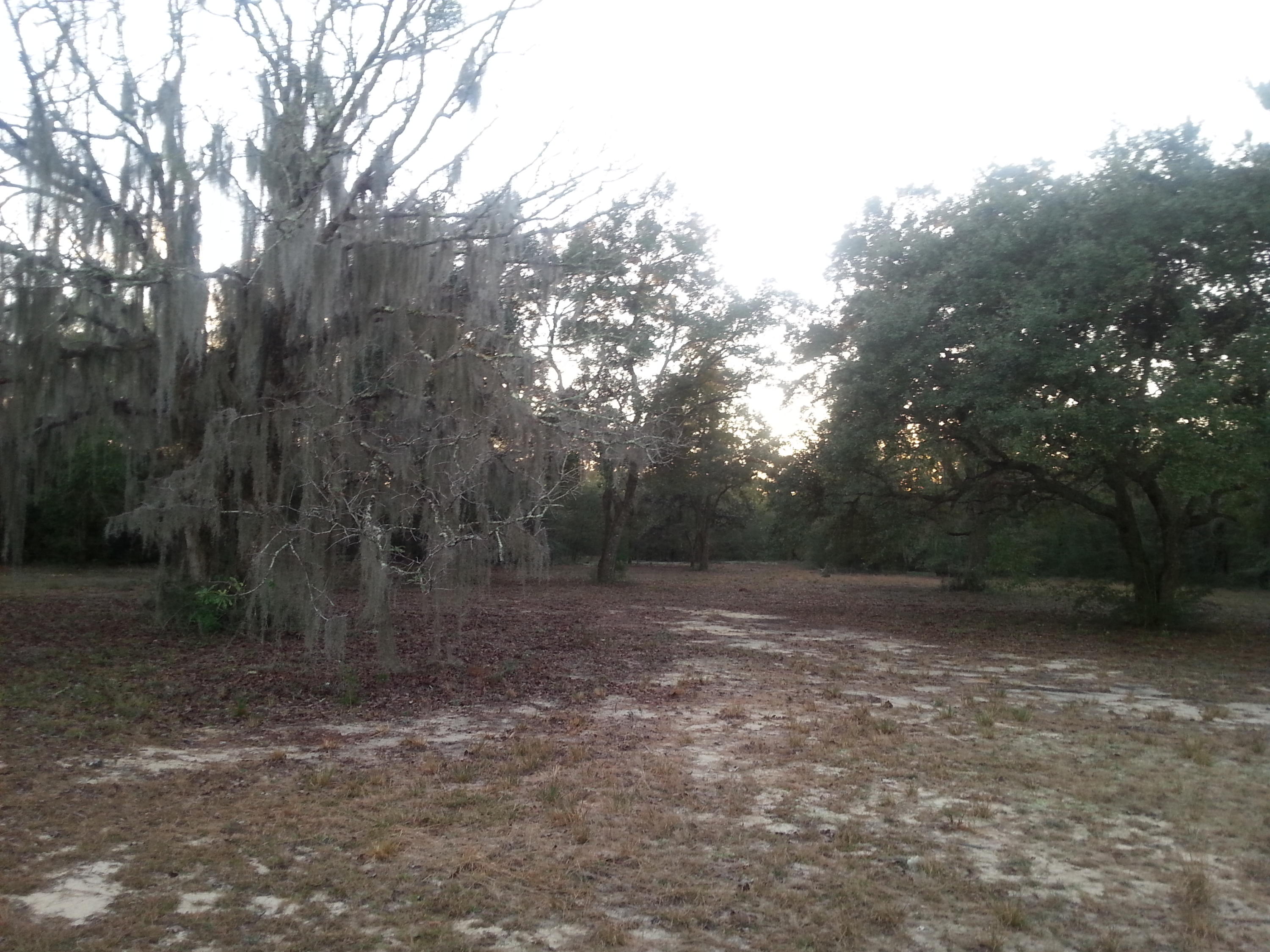 Meets and Bounds - Land