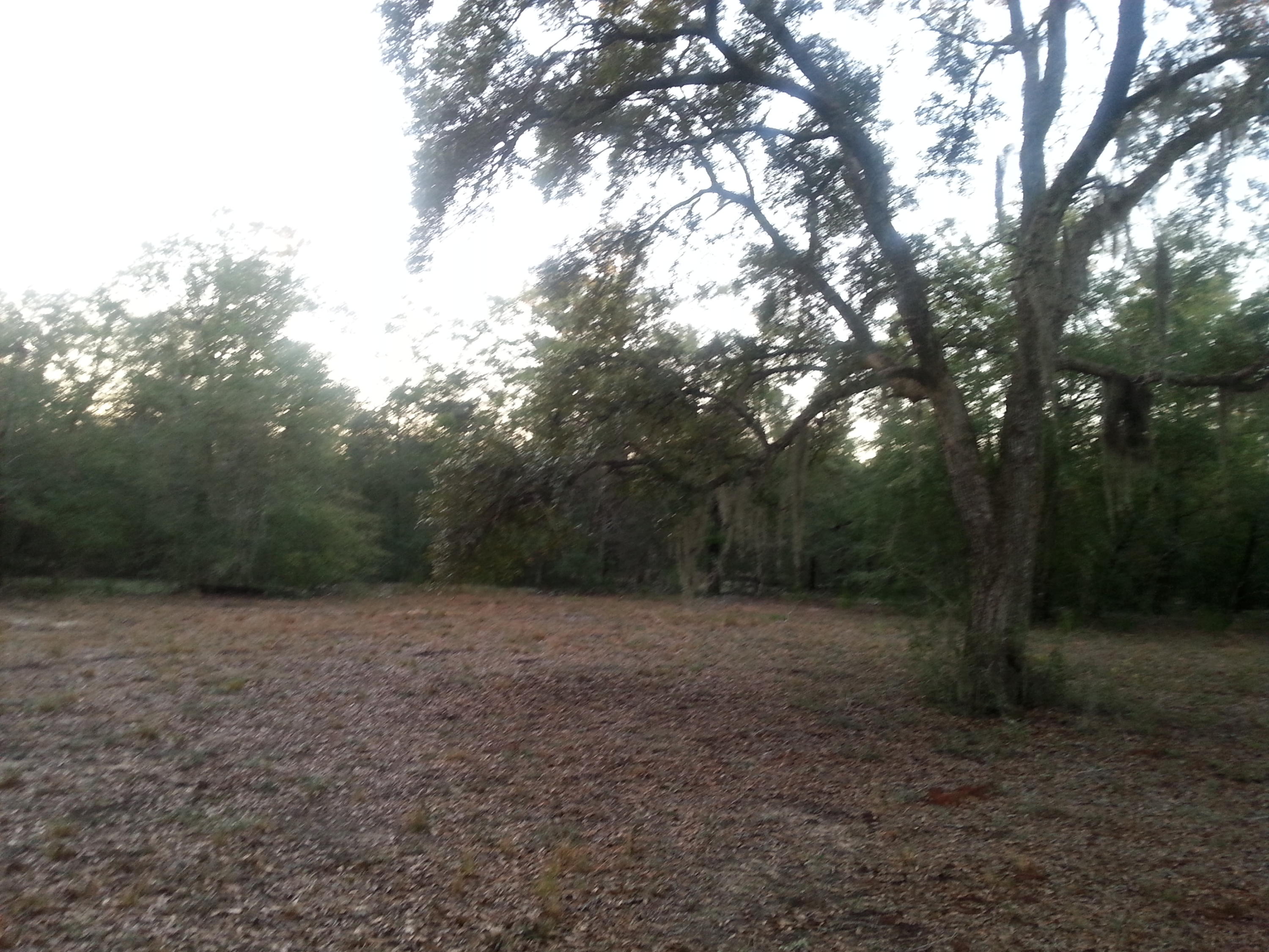 Meets and Bounds - Land