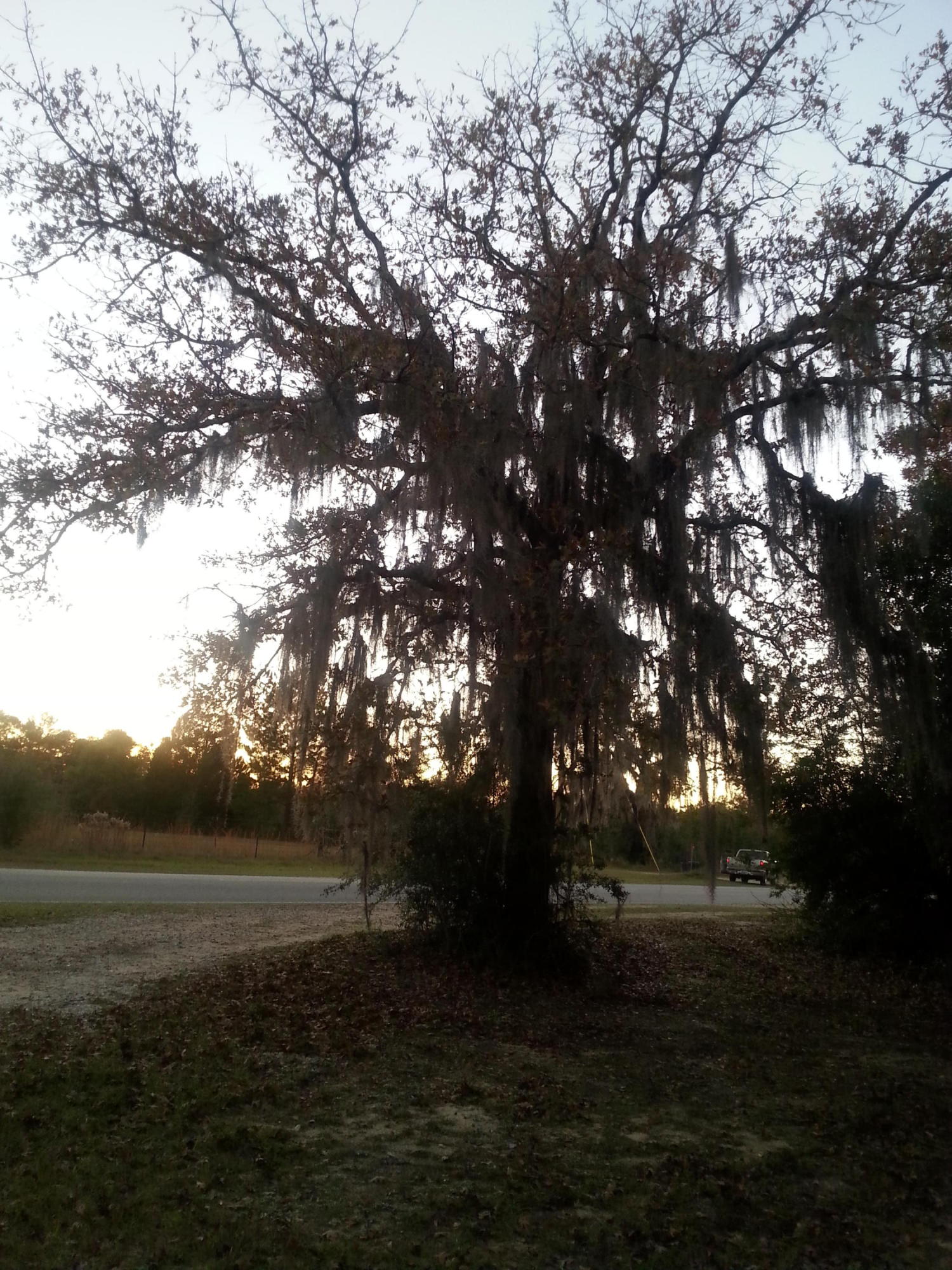 Meets and Bounds - Land