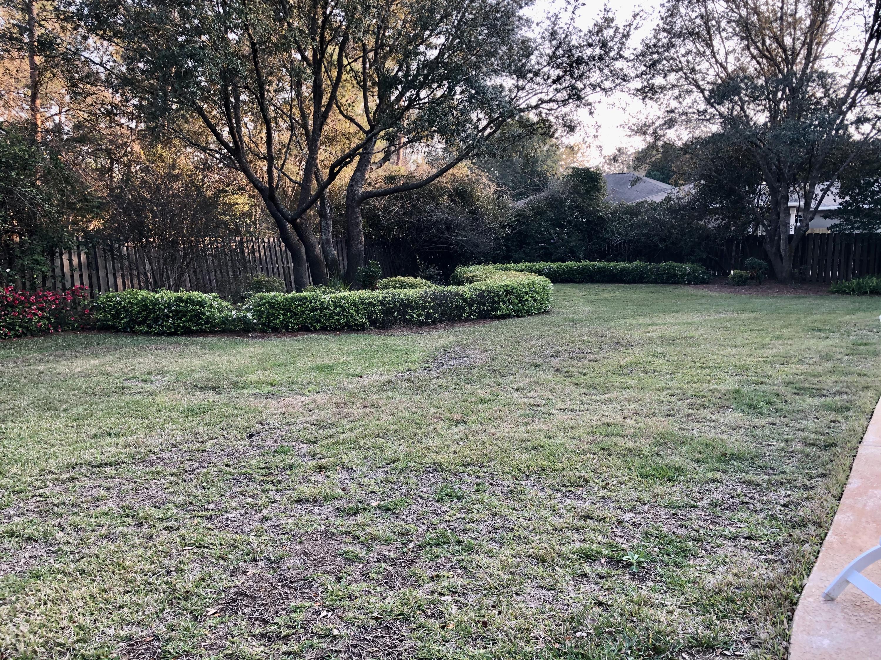 WINDSOR FOREST - Residential