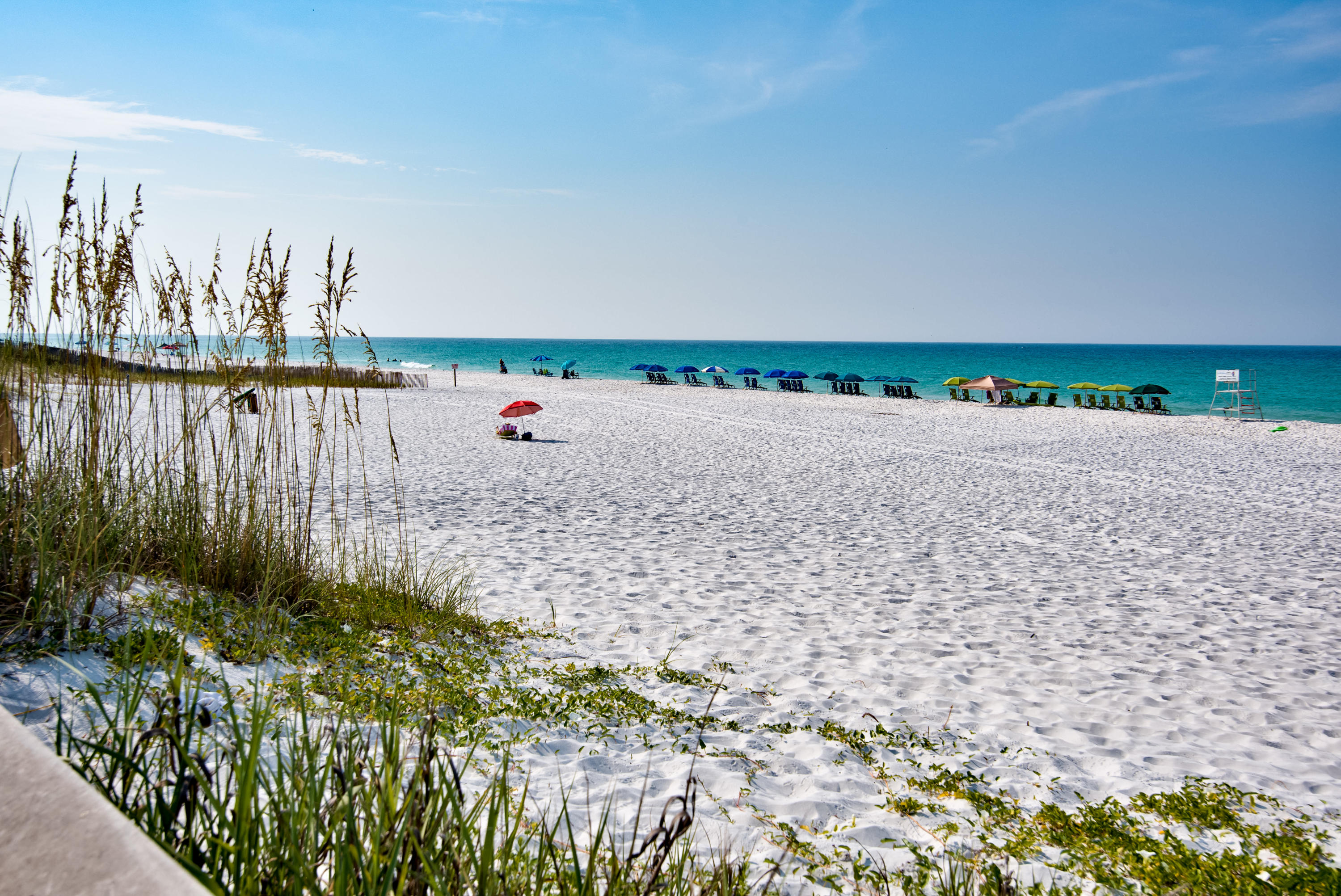 SUGAR ESTATES - Land