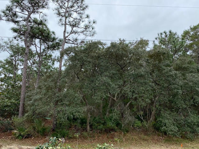 SUGAR ESTATES - Land