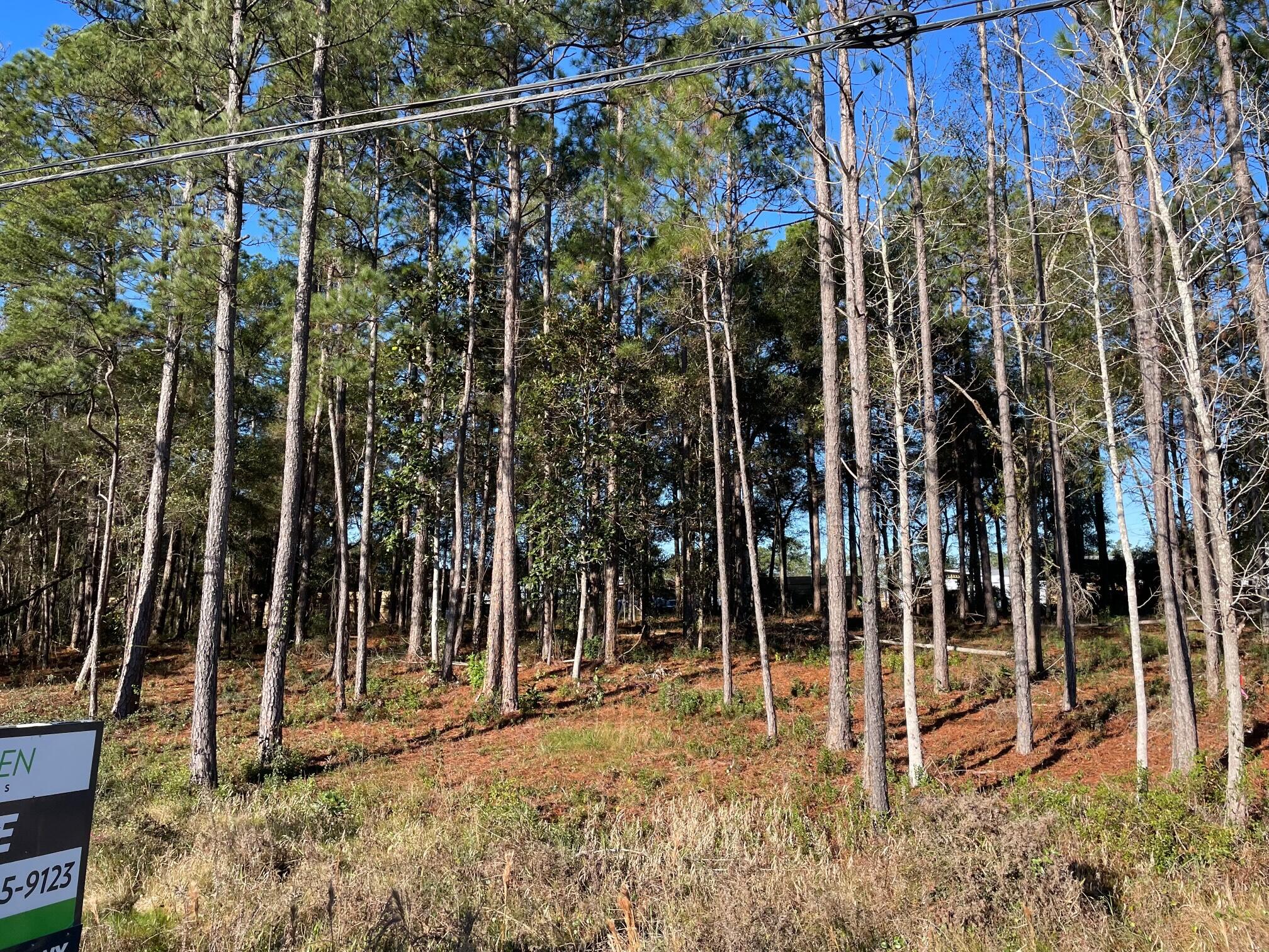 1.1 Acres US Highway 331 South