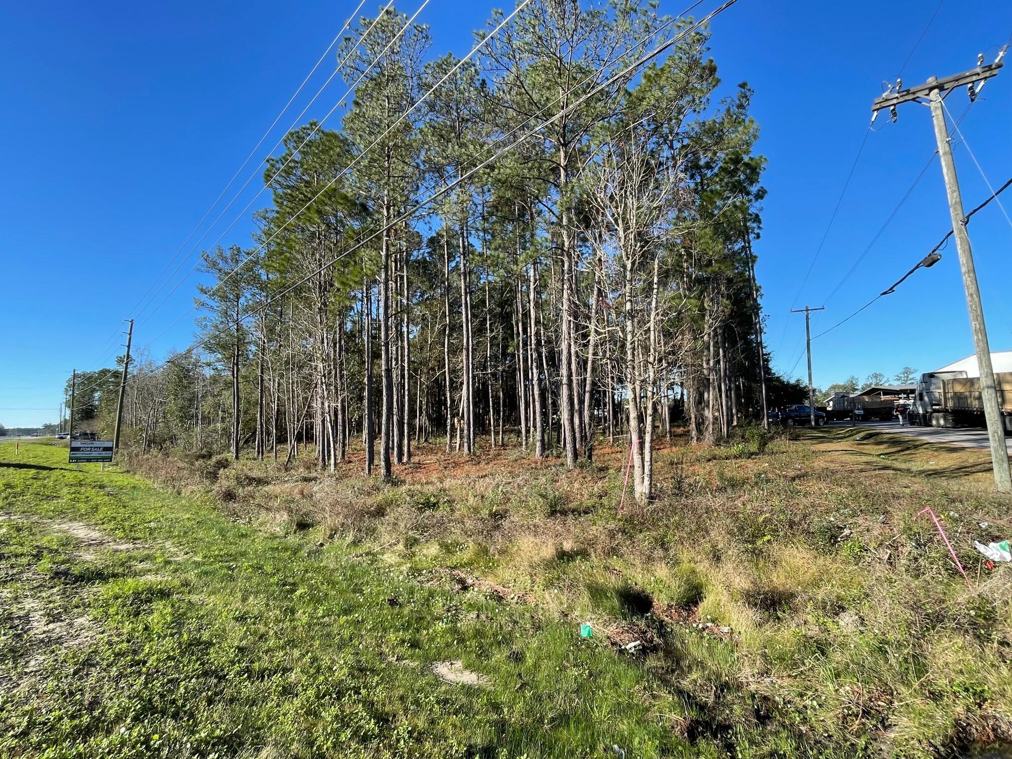 1.1 Acres US Highway 331 South