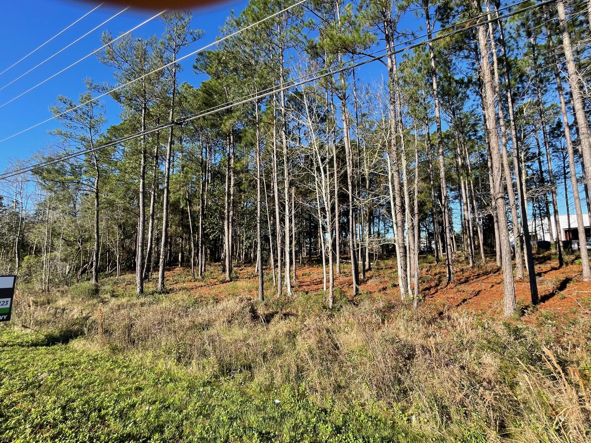 1.1 Acres US Highway 331 South